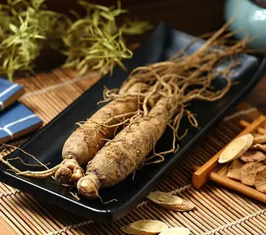 Panax Ginseng Aerial